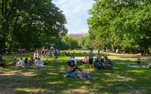 A view of people picnicking in the park in the summertime. 
